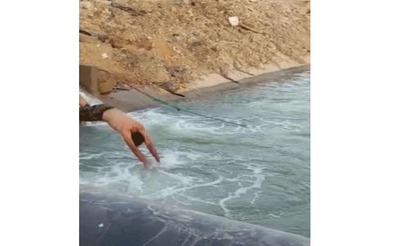 تحذير من السباحة في السدود