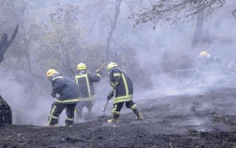 الزراعة تحذر من الحرائق في العيد