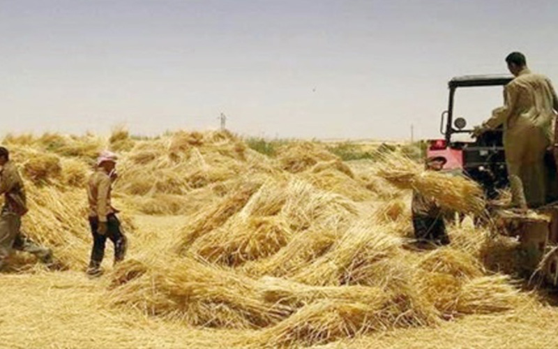 الدفاع المدني يدعو للاسراع بعملية الحصاد