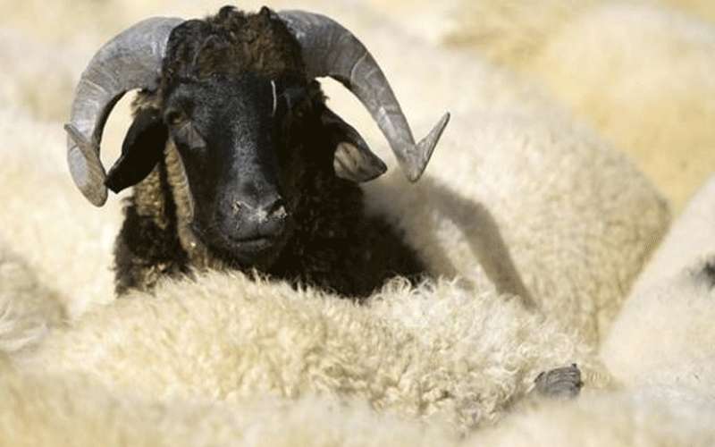 مركز الفلك الدولي يستبعد الخلاف حول