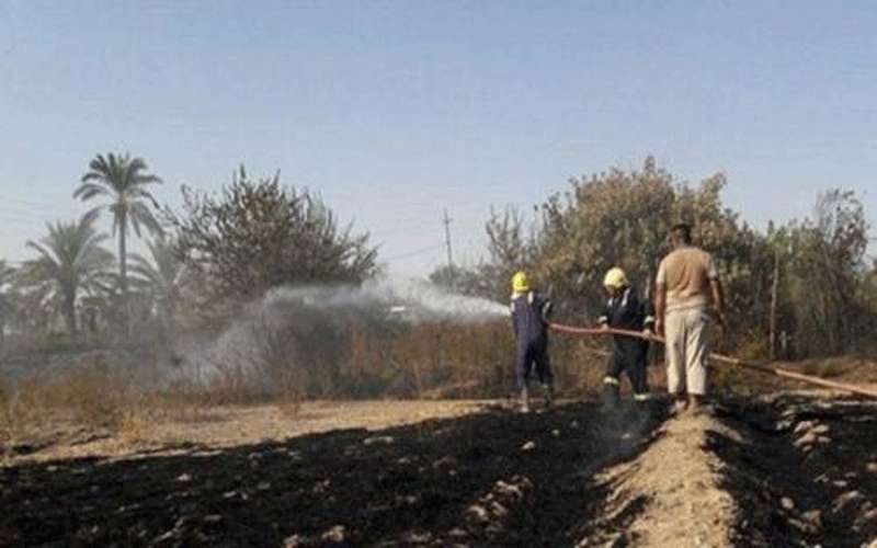 المزارعون يطالبون الحكومة بتعويضهم عن الحرائق
