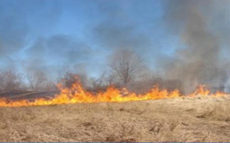 إخماد حريق أعشاب جافة ومحاصيل زراعية