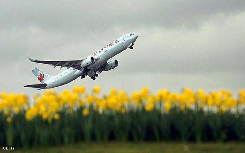 استيقظت لتجد نفسها وحيدة على متن