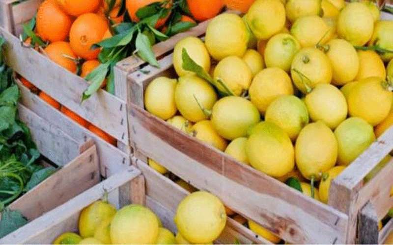 الزراعة تمنع إدخال الخضار والفواكه السورية