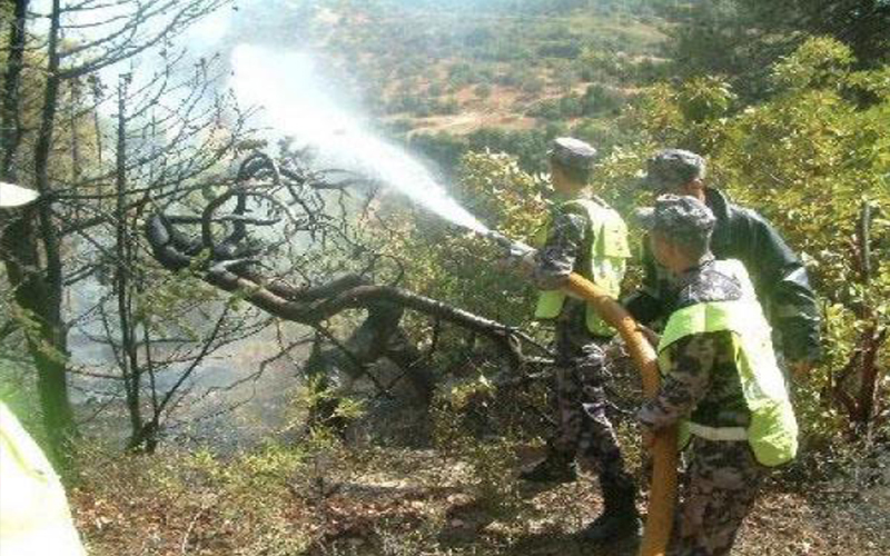 إخماد حريق أعشاب جافة في اربد