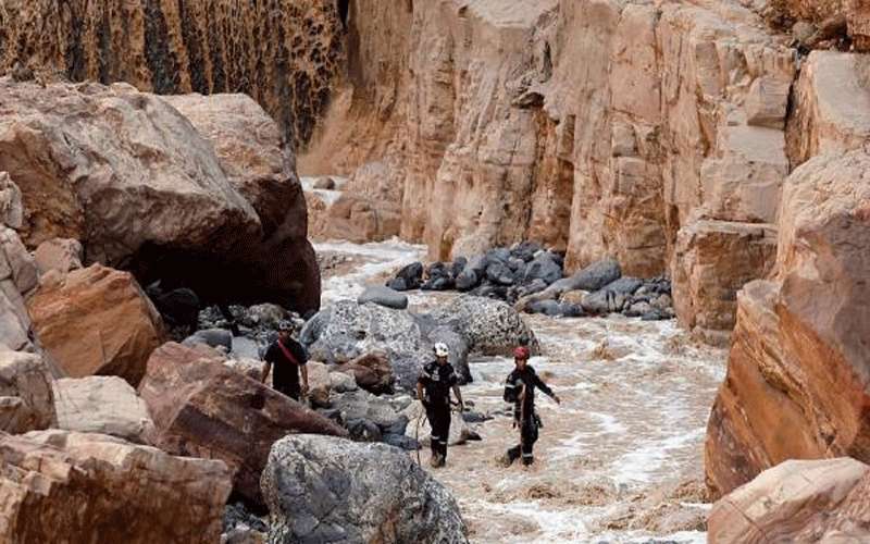 انشاء صندوق للمخاطر في اقليم البترا