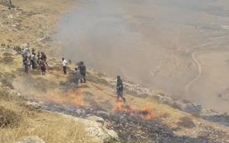 حريق يلتهم 350 دونما في جرش