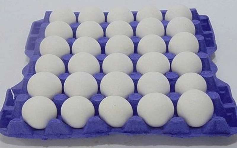 فاتورة لكل سلعة أغلى من دينار