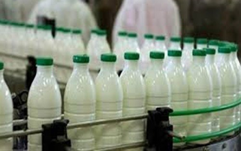 رفع أسعار الألبان الطازجة اعتبارا من