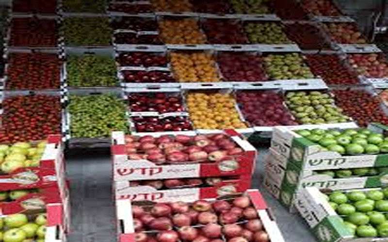 3208 طن خضار وفواكه ترد السوق