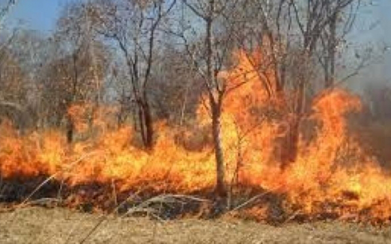 إخماد حريق أعشاب جافة في محافظة