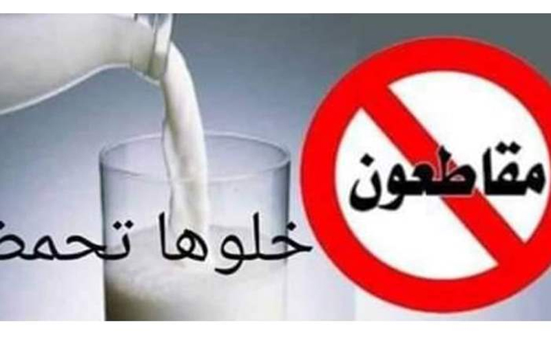 معركة مقاطعة الألبان .. الرهان على