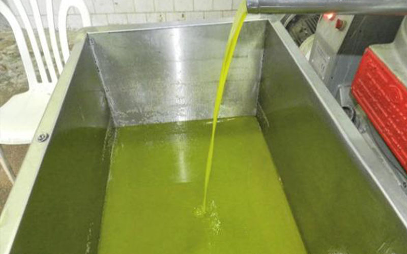 الزراعة: لا رخص استيراد لزيت الزيتون