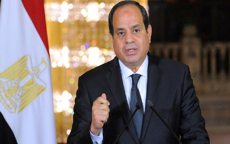 المستشار الطبي للسيسي: طالبت الرئيس بتجويع