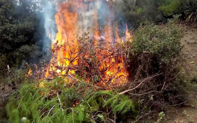 اخماد حريق أعشاب جافة في اربد