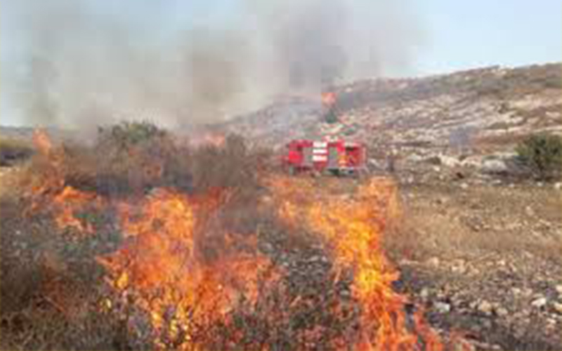 الدفاع المدني يسيطر على حريق اشجار