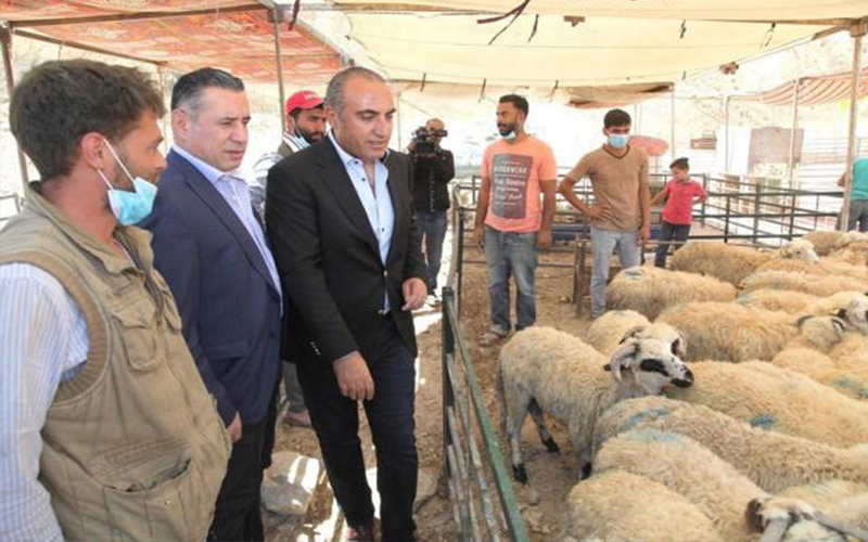 الشواربة يتفقد مواقع بيع وذبح الاضاحي