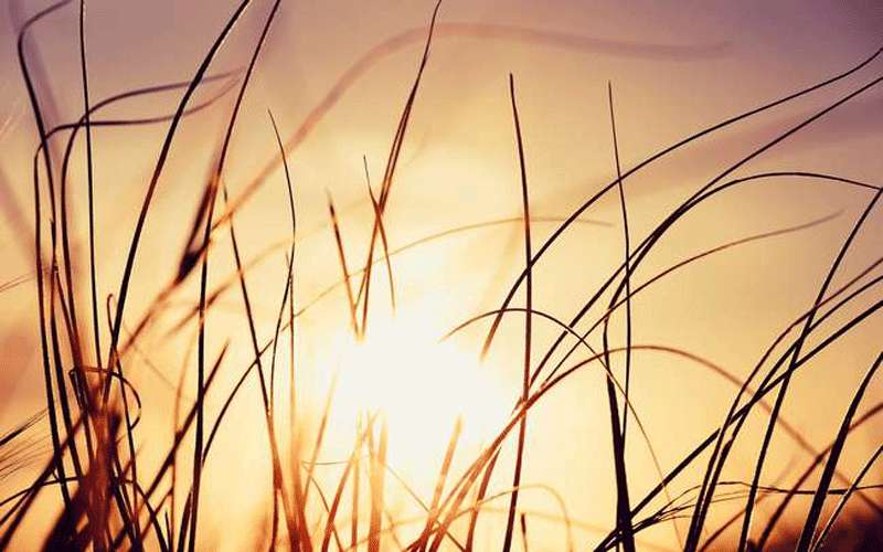 الأربعاء.. أجواء صيفية اعتيادية