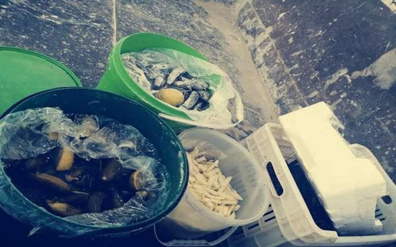 ضبط واتلاف اغذية تالفة بمعان