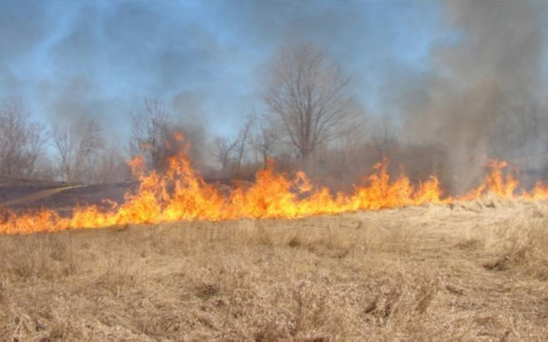 اخماد حريق 300 دونم في عجلون