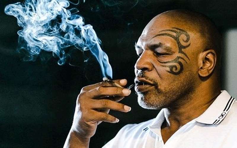 تايسون يدخن 10 أطنان من الماريغوانا