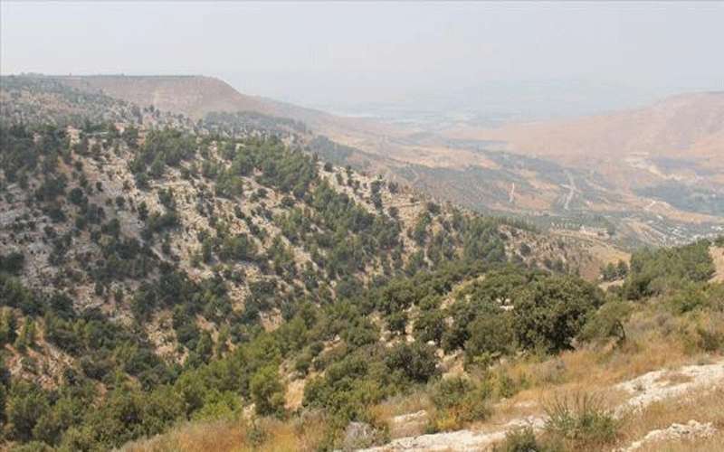 محمية اليرموك .. لوحة فنية طبيعية