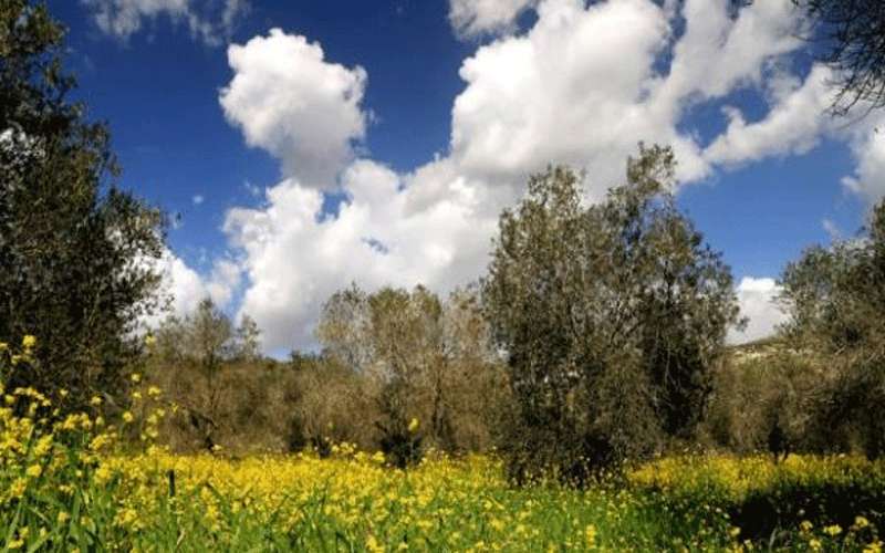 الخميس .. ارتفاع على درجات الحرارة