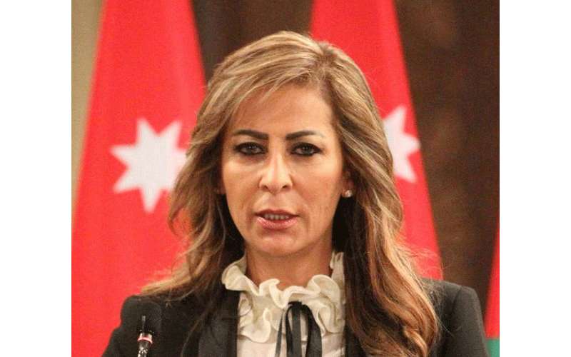 غنيمات: الحكومة تدعم حرية التعبير المكفولة