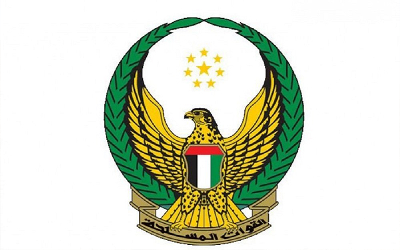 الإمارات تعلن مقتل 6 من جنودها