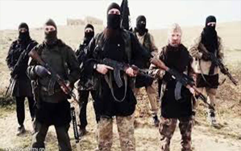 مقتل 17 من مسلحي داعش بغارة