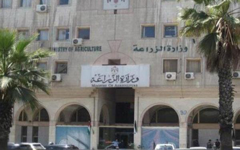 الزراعة توجه تعميم لتجار ومصدري الخضار