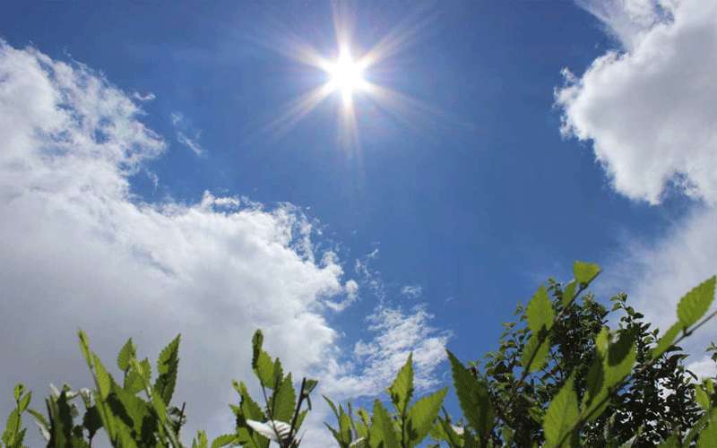 السبت.. أمطار رعدية في جنوب وشرق