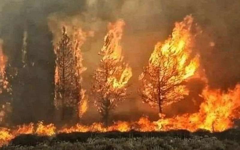 الأردن مستعد لمساعدة لبنان بإخماد الحرائق