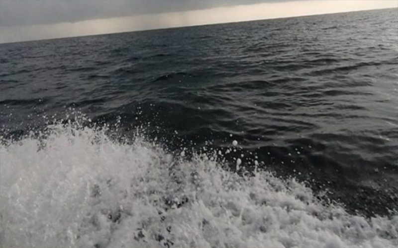 السعودية .. إعصار قمعي قبالة جازان