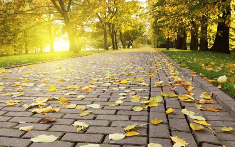 الأحد.. إنخفاض طفيف على درجات الحرارة