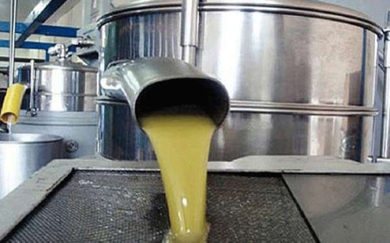 تجديد ترخيص 13 معصرة زيتون في