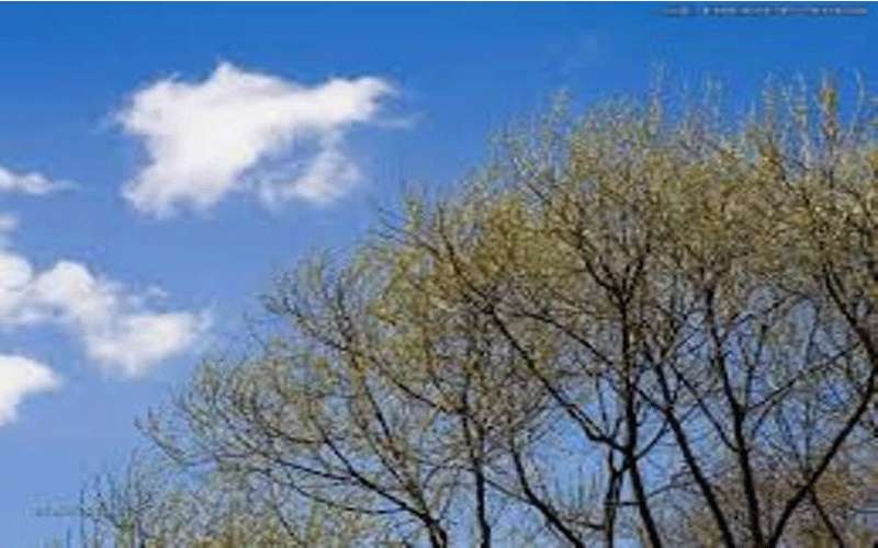 الإثنين.. طقس خريفي مائل للبرودة