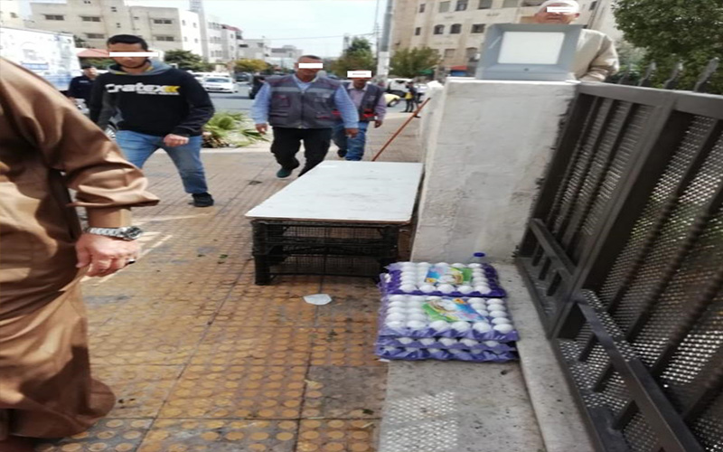 إتلاف اسماك وبيض فاسد في عمان..