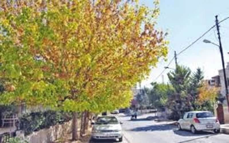 الأربعاء.. طقس خريفي لطيف