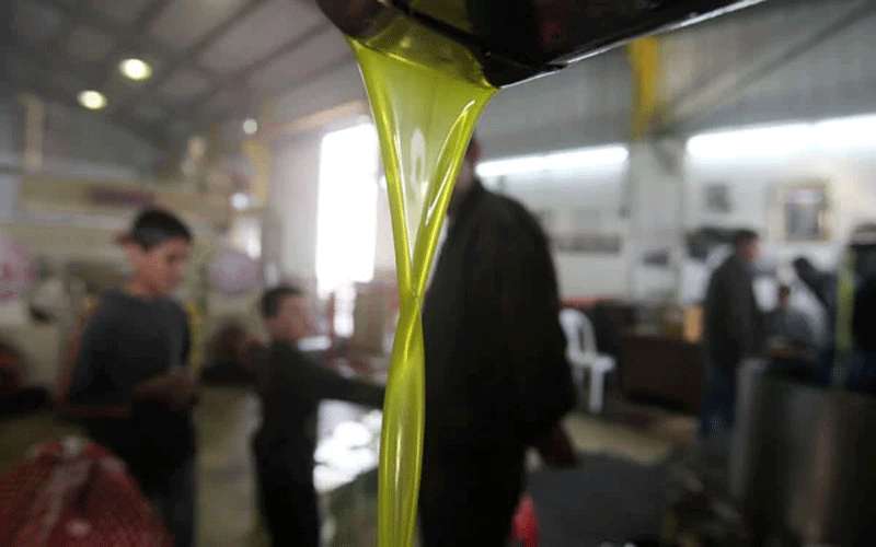 أسعار زيت الزيتون تتراجع بنسبة 10