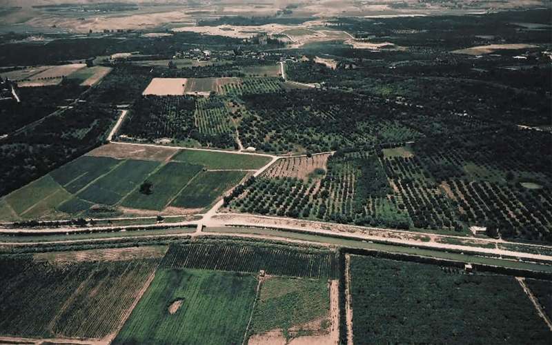 ماذا يعني قانونيا استعادة أراضي الباقورة