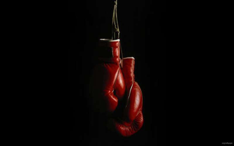 4 اردنيين بنهائي الجائزة الكبرى للملاكمة