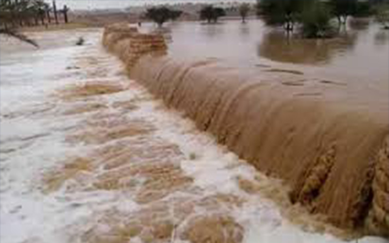 الدفاع المدني: مساعدة وتأمين 42 شخصا