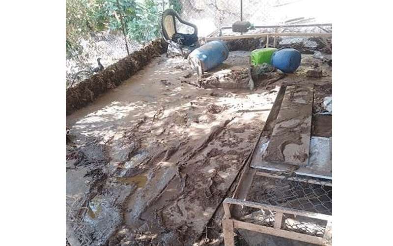 معونات للمتضررين من السيول