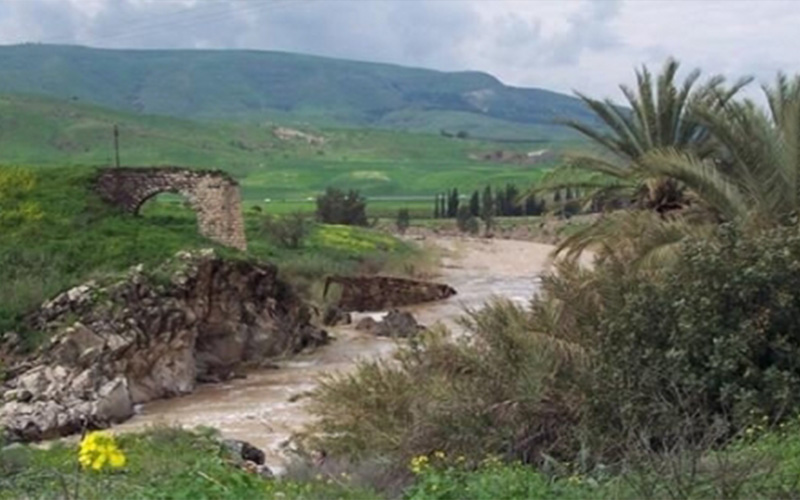 دراسة فرص الاستثمار الزراعي للباقورة والغمر