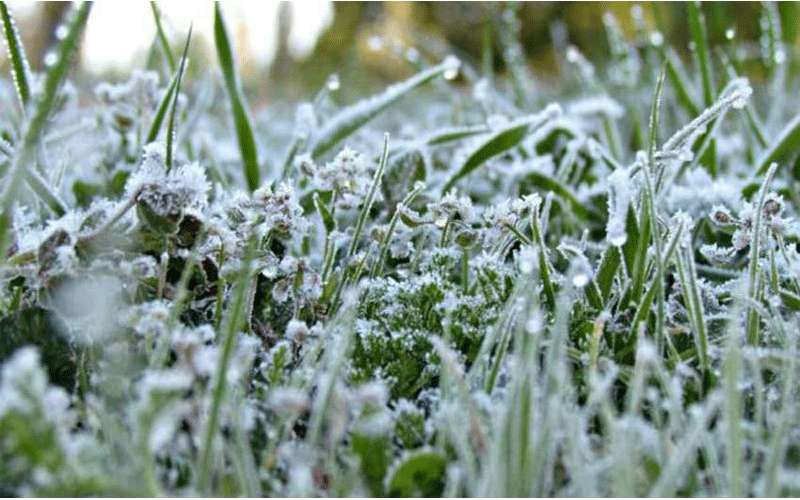 الإثنين.. انخفاض على درجات الحرارة وموجة