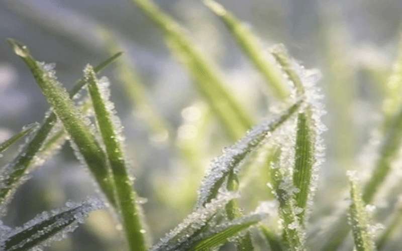 الثلاثاء.. طقس بارد ورياح شرقية نشطة