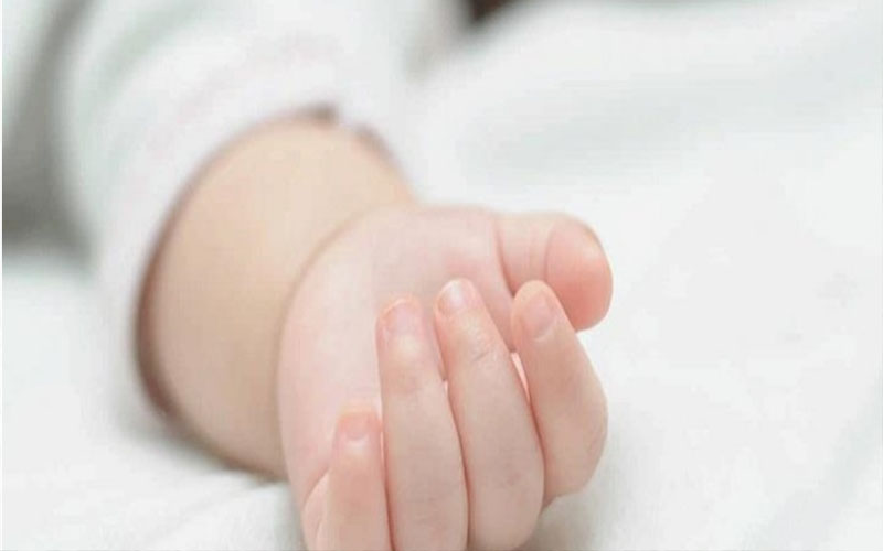 الاحصاءات : 40% من سكان الاردن