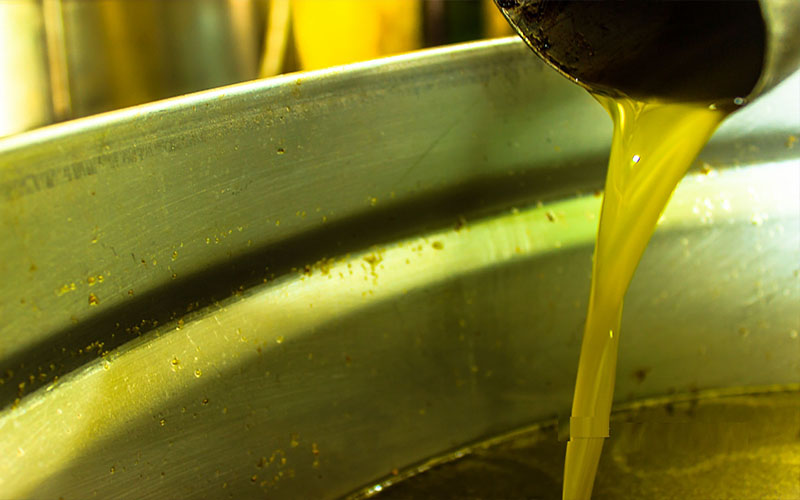 الغذاء والدواء تحول (3) اشخاص للقضاء