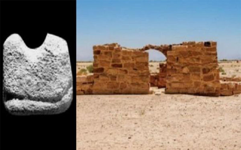 عالم كندي: عثرت على أقدم قطعة